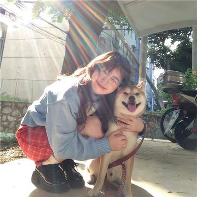 龙的新娘：龙之岛