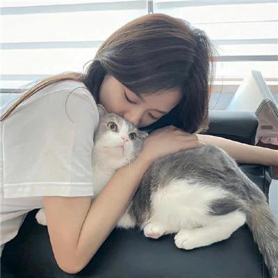 鲨鱼爱老鹰