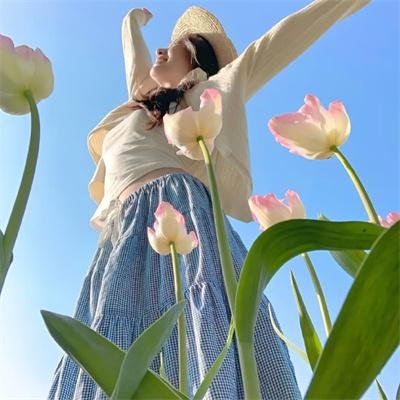 曲象丛生